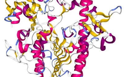 Latam-INsights-Mucopolysaccharidosis-02