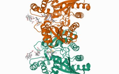 Latam-INsights-Erythropoietic-Protoporphyria