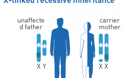 Mucopolysaccharidosis