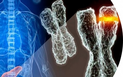 Latam-INsights-Diabetes-2023